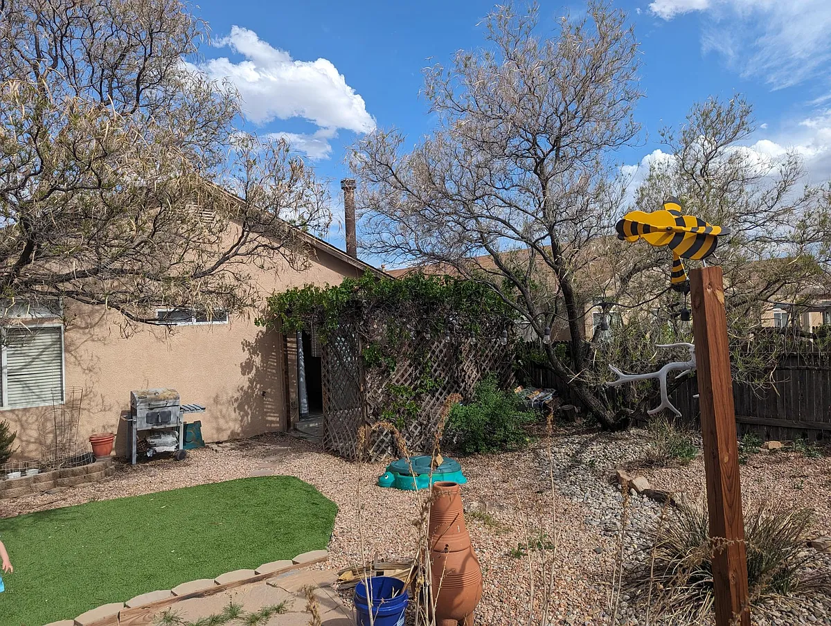 back yard - 10639 Rockcliff Dr NW