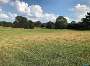 300 Berry Rd, Guntersville, AL 35976