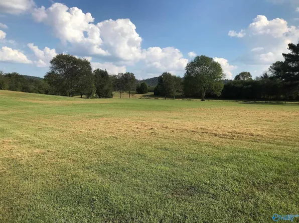 300 Berry Rd, Guntersville, AL 35976