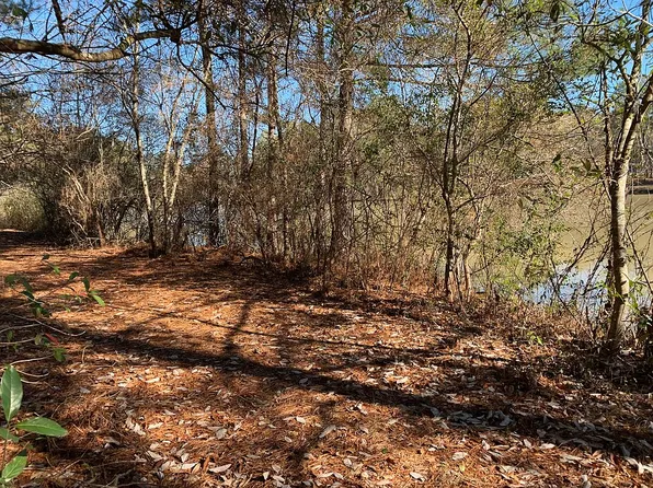 191 Sweetwater Dr, Hopkins, SC 29061