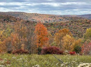 321 Debruce Rd, Livingston Manor, NY 12758