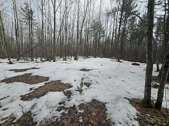 3rd image of Rabbit Trl #5