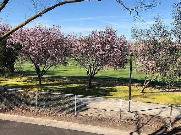 View from most rooms