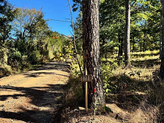 2nd image of 1011 Granny Hollar Rd