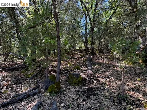 21344 Green Meadow Ln, Sonora, CA 95370