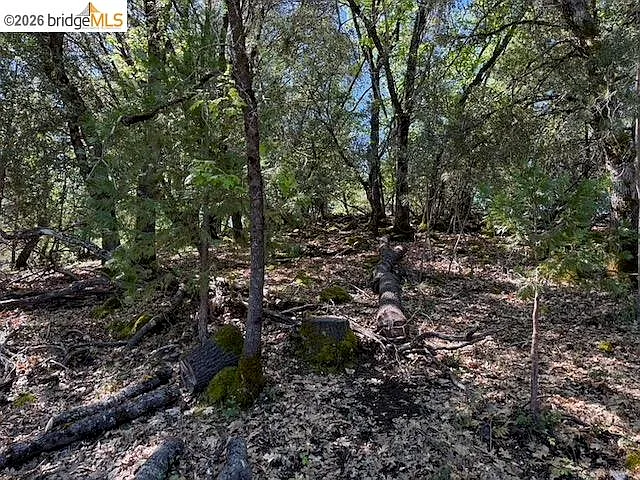 21344 Green Meadow Ln photo 1