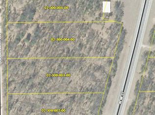 10953 N Forman Rd, Irons, MI 49644