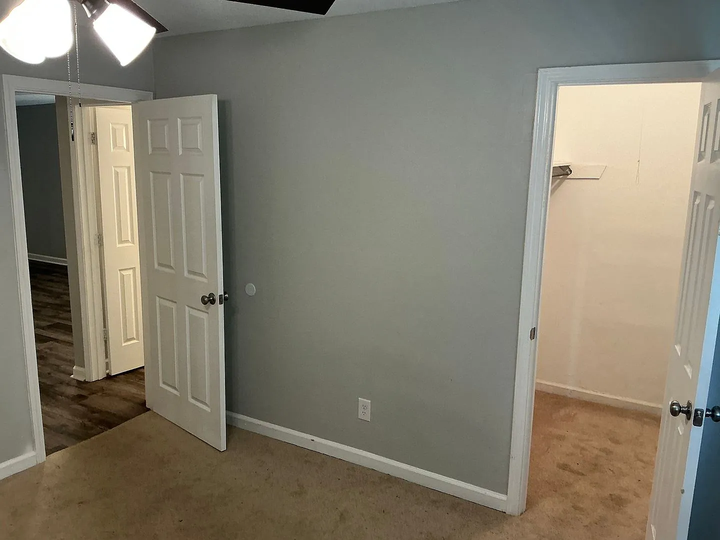 1005 Piney Woods — Photo 3