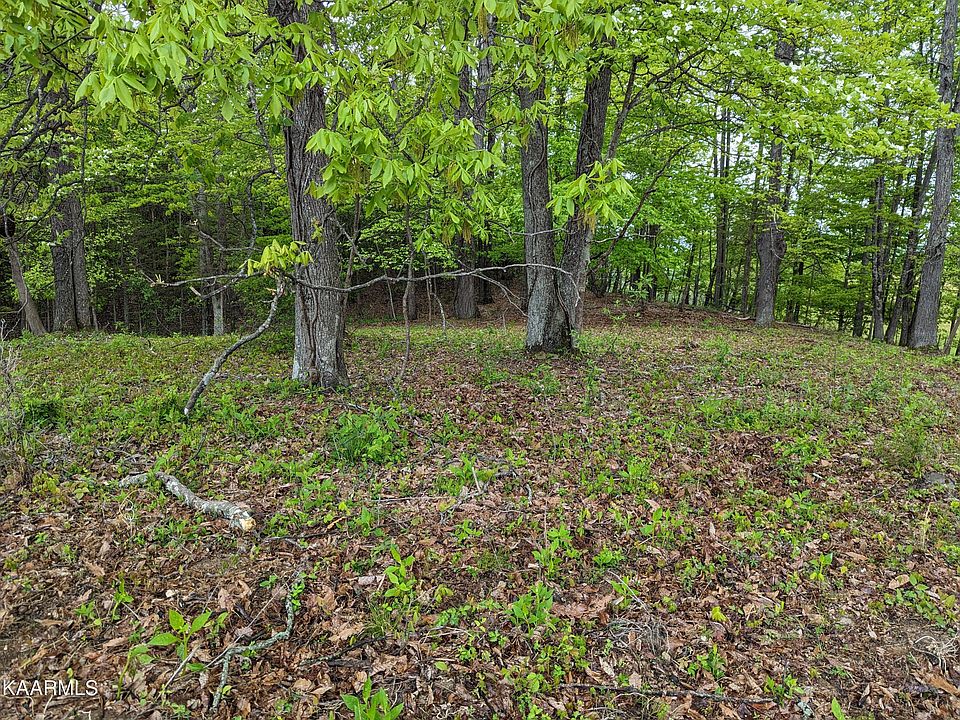 Boones Path Rd, Rose Hill, VA 24281 Zillow