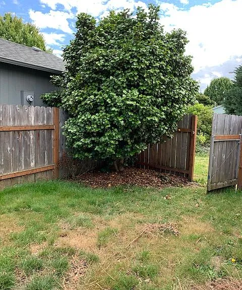 1135 NE Conser Pl — Photo 25