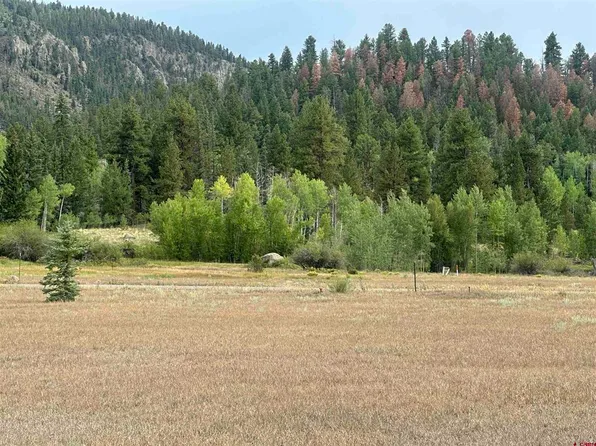 43 Million Lane, South Fork, CO 81154