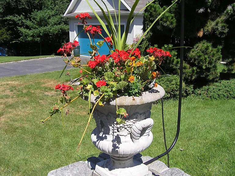 3 Starwood Ln — Photo 17