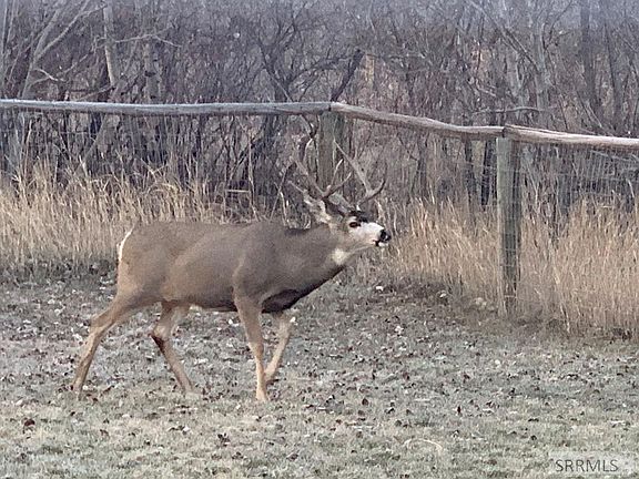 75th image of this home