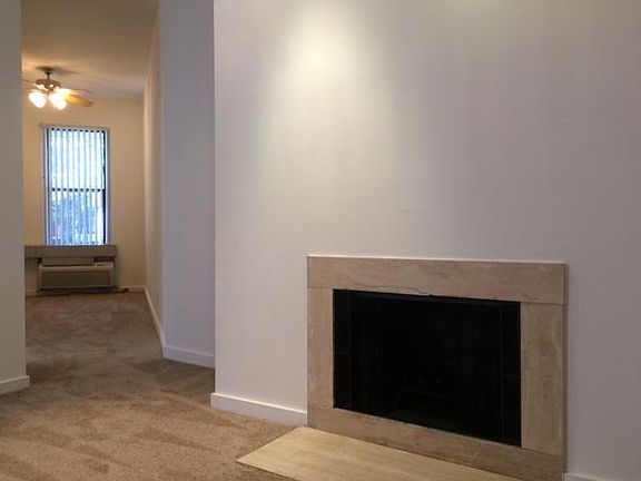 Wood Fire Place 