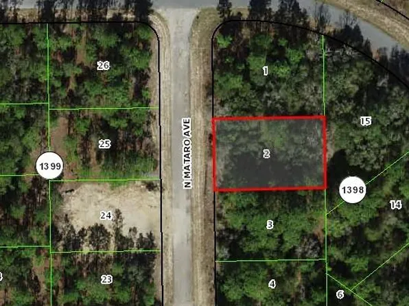 10965 N Mataro Ave, Citrus Springs, FL 34434