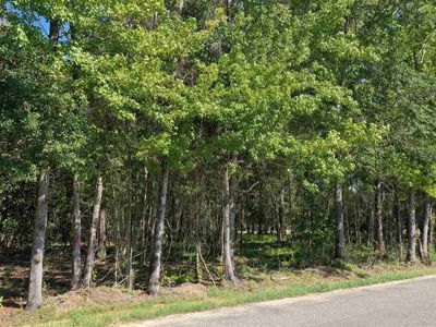 1 Harris St, Atmore, AL, 36502