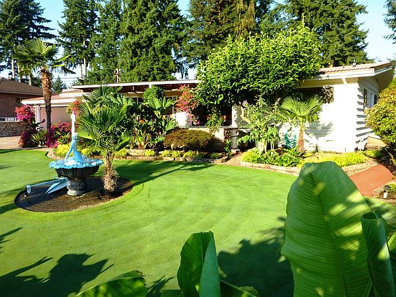 Banana Palms line front