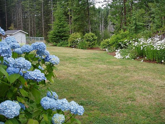 Plenty of Room for Kids, Pets & Outdoor Activities