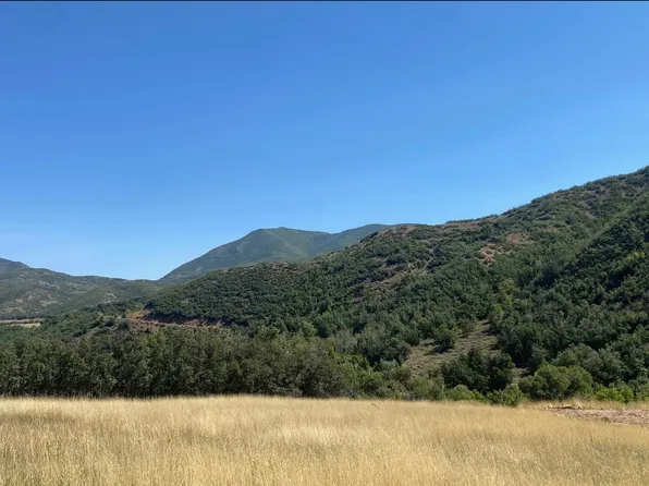 169 S Meadow Dr, Springville, UT 84663