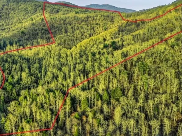 0 Hoskins Gap Rd #0, Oliver Springs, TN 37840