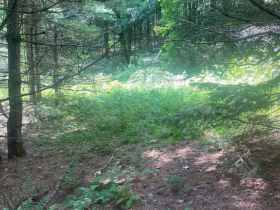 5th image of 5 E Mountain Rd