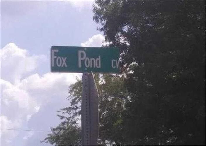 2nd image of 57 Fox Pond Cv