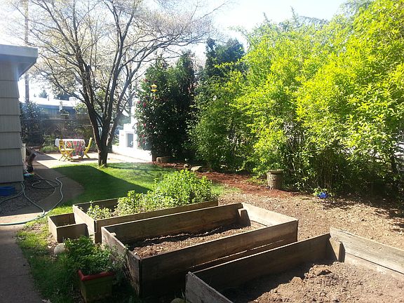 Part of backyard,raised beds