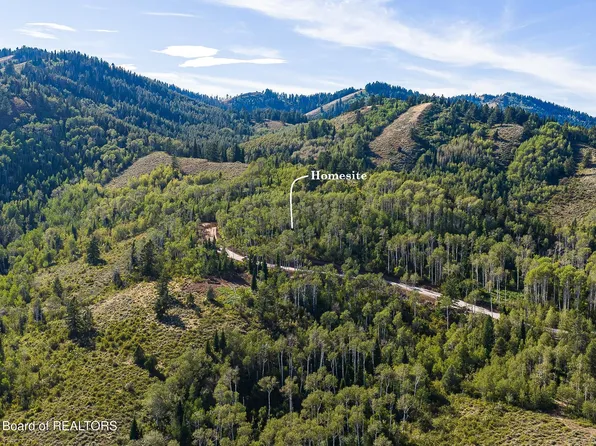 LOT 4 Labra Ln, Victor, ID 83455