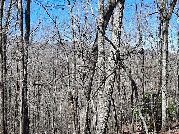 5th image of LOT 7 Quail Dr