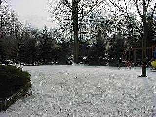 2nd image of 2801 Redberry Ct