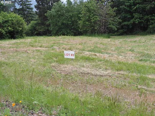 Vivian Ct #3, Carson, WA 98610