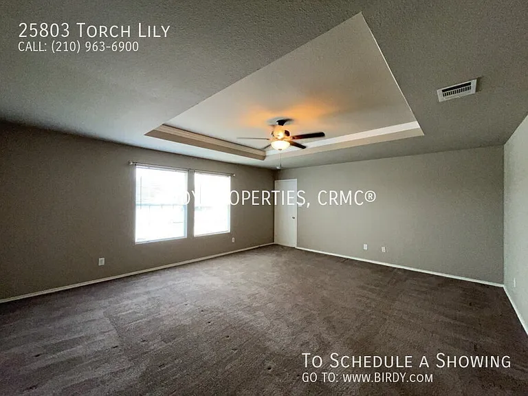 25803 Torch Lily — Photo 28
