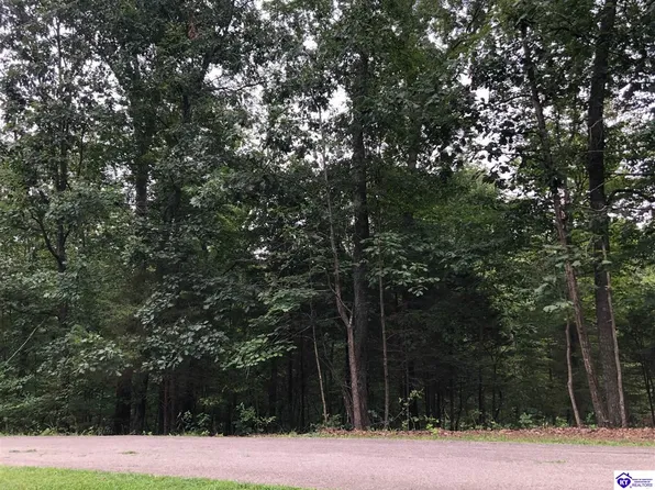 Trillium Ct, Brandenburg, KY 40108