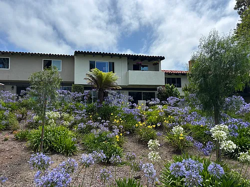 603 Mar Vista Dr Photo 1