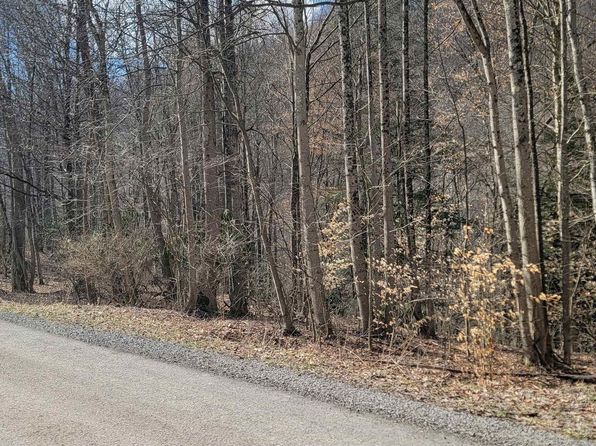 1711 Saltlick Rd, Rowlesburg, WV 26425