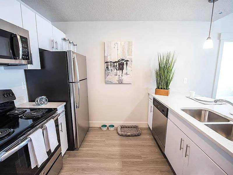 District North Apartments — Photo 3