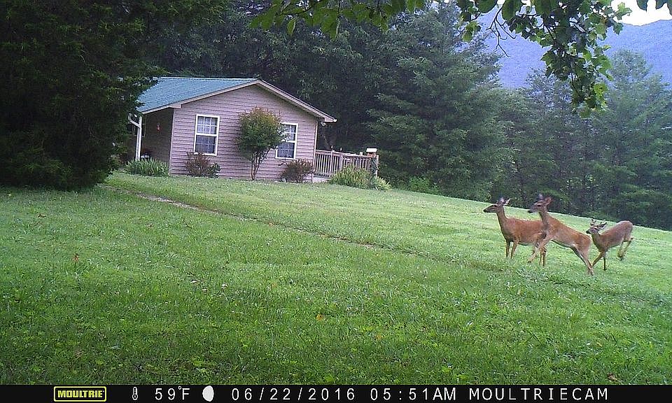 2nd image of 2458 Dairy Rd