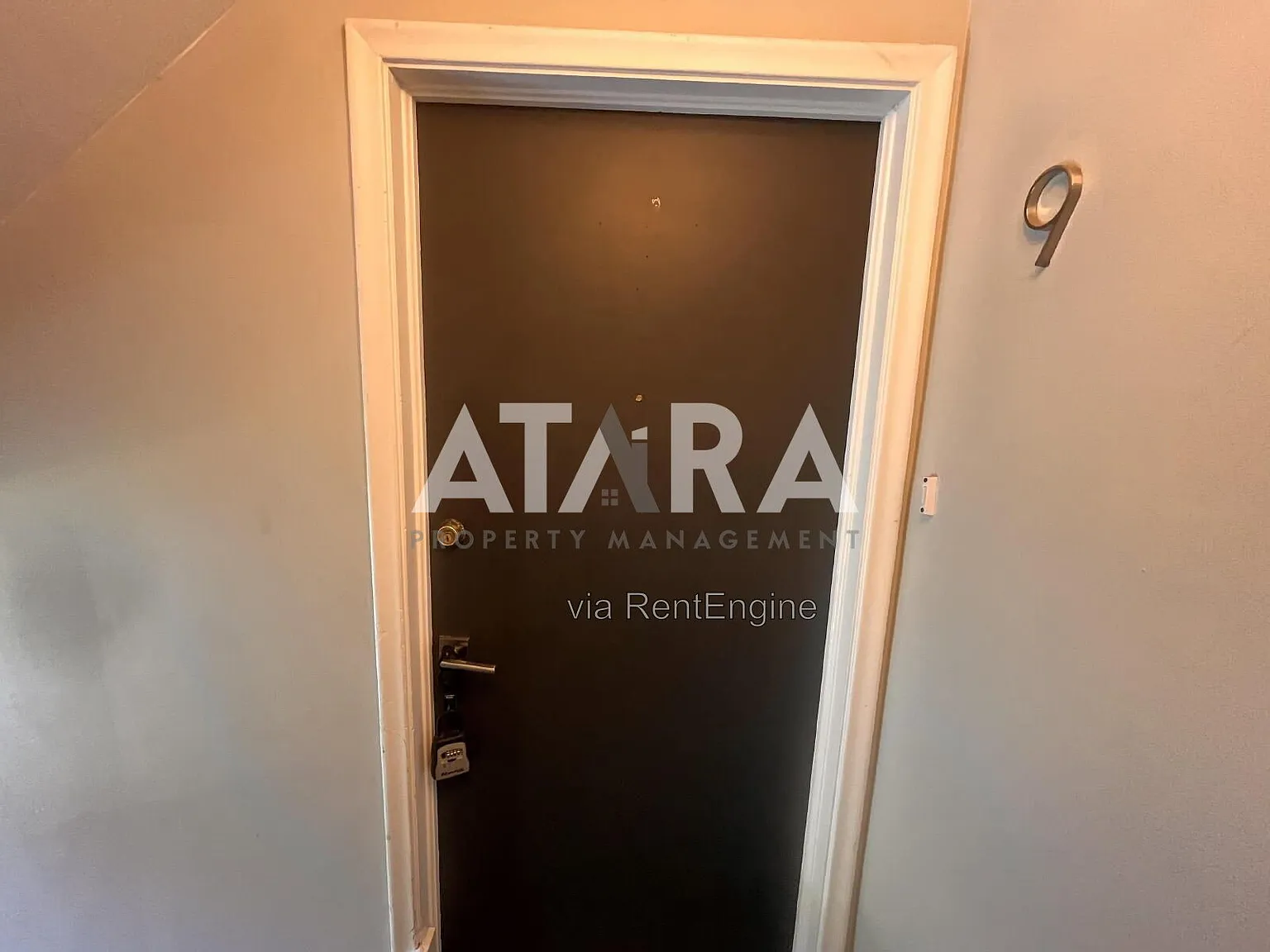 1 bed, 1.0 bath, 500 sqft, $845 — Photo 4