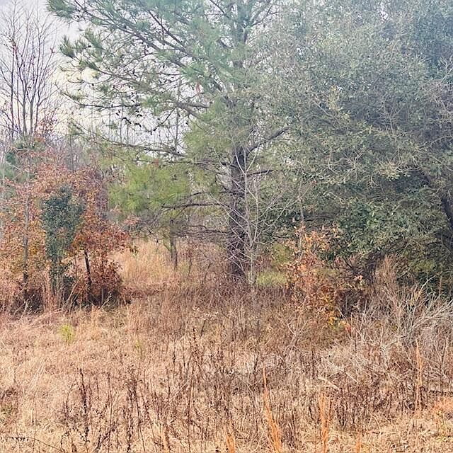 1st image of Woodward Dr