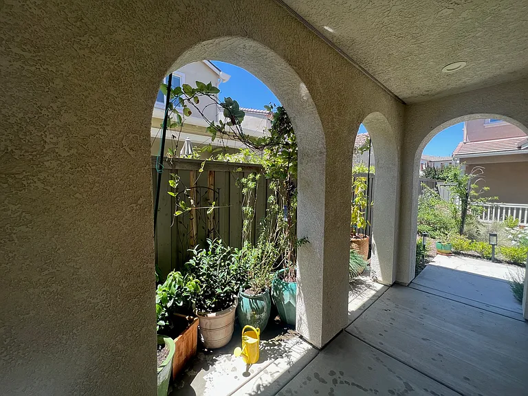 1004 Green Zebra Ter — Photo 5