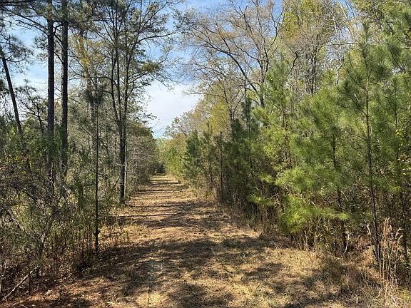 3rd image of 0 Getaway Ln