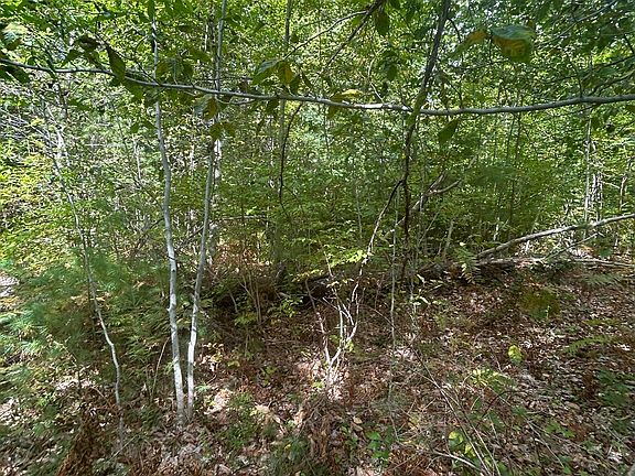 4th image of 531 Mason Rd