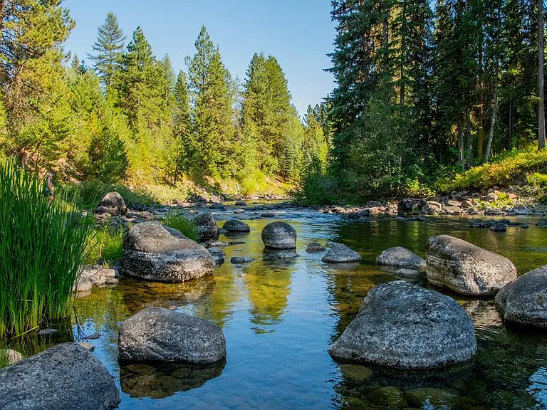 River View