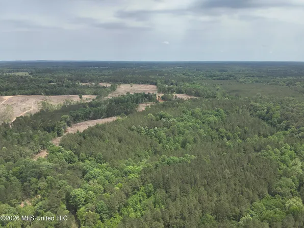Smith County Rd #559, Pulaski, MS 39152