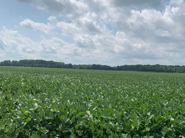 90th Ave, Evart, MI 49631