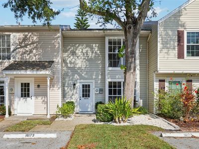 16173 Rambling Vine Dr E, Tampa, FL, 33624