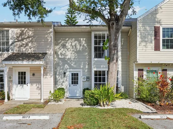 16173 Rambling Vine Dr E, Tampa, FL 33624