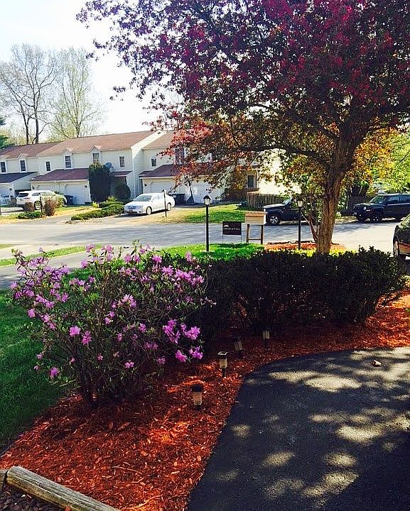 1st image of 527 Elk Cir