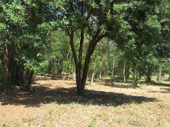 0 Sweet Fern Dr #24, Riverview, FL 33569