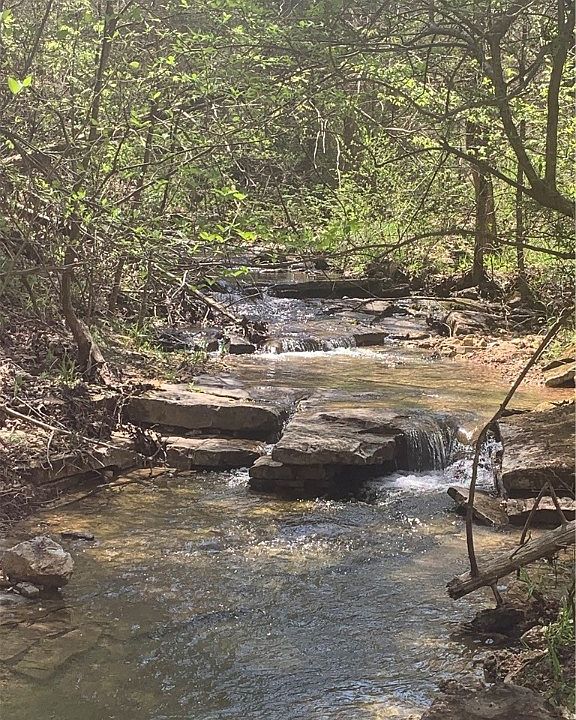 1st image of 239 County Road 3027 #1
